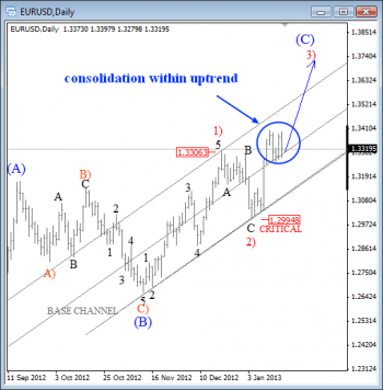 EURUSD Elliott Wave Analysis January 21 25 2013