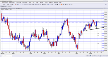Euro USD Technical Analysis August 19 23 2013 foreign exchange trading for currency traders