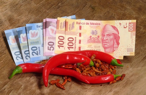 shutterstock_91438625_Mexican_Currency_Chilli