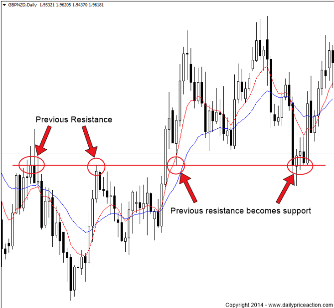 Price Action Forex