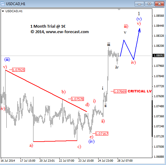 USDCAD Intraday Elliott Wave Analysis July 2014 technical chart for currency trading