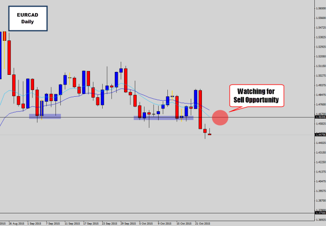 eurcad daily