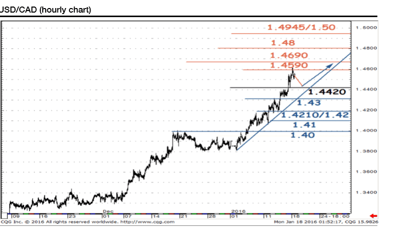 USDCAD hourly chart January 2016 technical