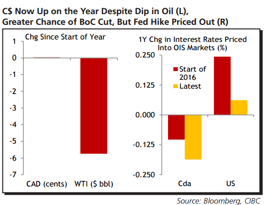 CAD Now up on the Year despite Dip in oil