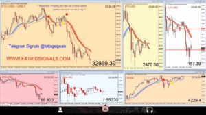 Fat Pig Crypto Signals Live Char