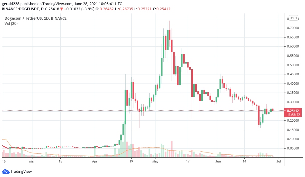 Dogecoin Price