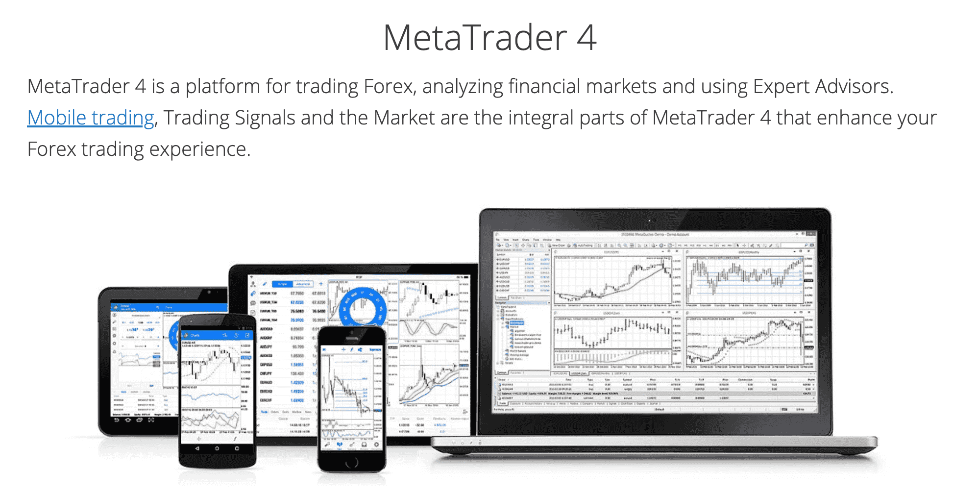 metatrader brokers kanada)