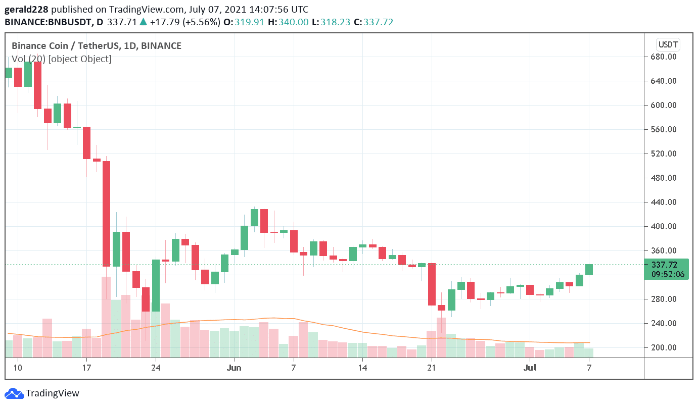 Binance Coin Price