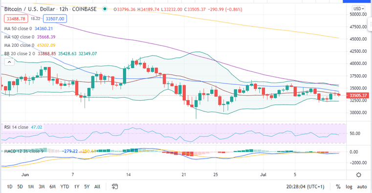 Bitcoin Price 12-H Chart