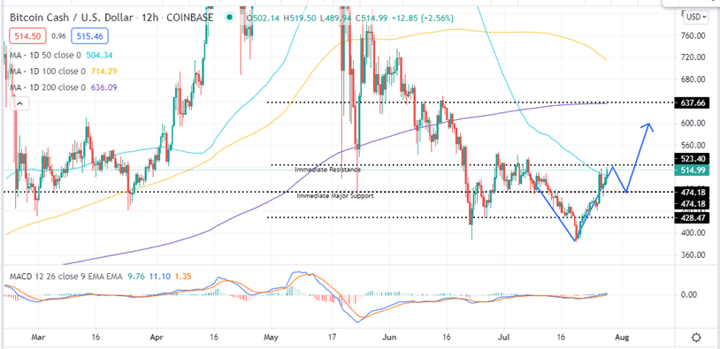 Bitcoin Cash Price 12-H Chart