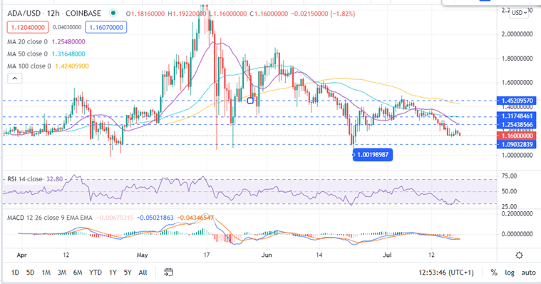 Cardano 12 hour July 19