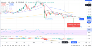Litecoin Daily Price Chart