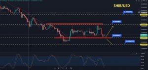 Shib Inu Price Forecast