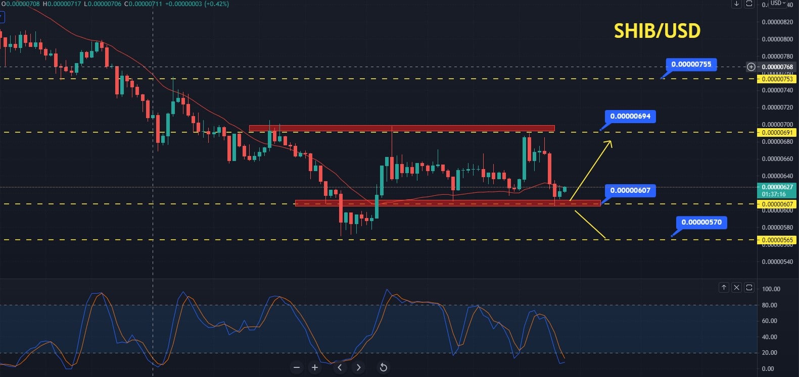Shiba Inu Price Forecast Ready To Buy At 0 0000060