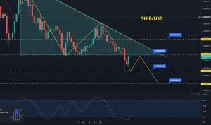 Shib Price Forecast