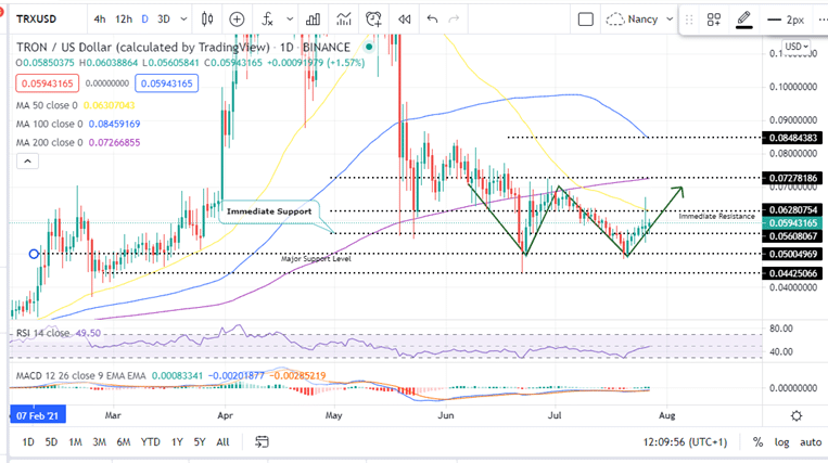 TRON Price Daily Chart