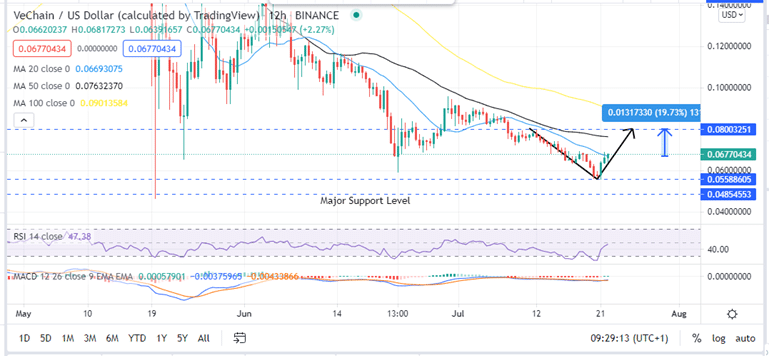 VeChain Price 12-H