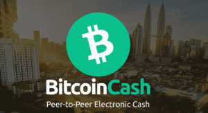 invest in bitcoin cash