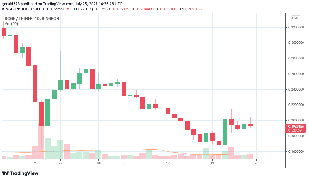 Doge prediction june 2021