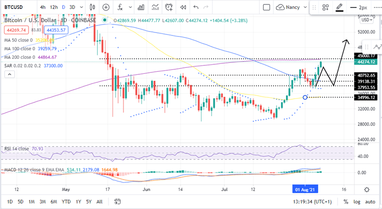 Bitcoin Price Daily Chart