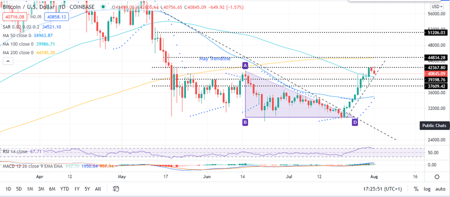 Bitcoin Price Daily Chart