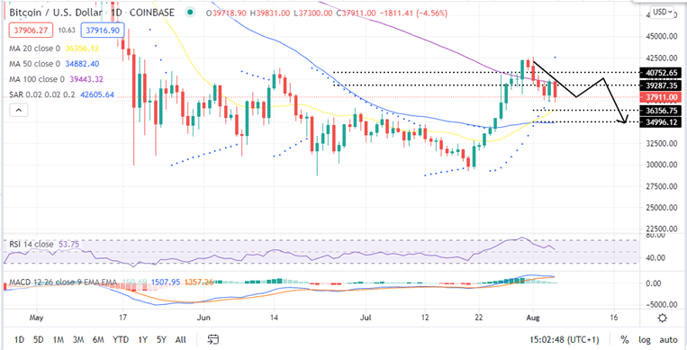 Bitcoin Price Daily Chart