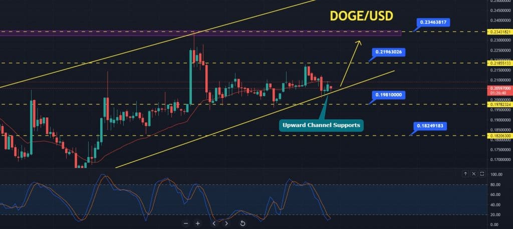 Dogecoin Price Forecast