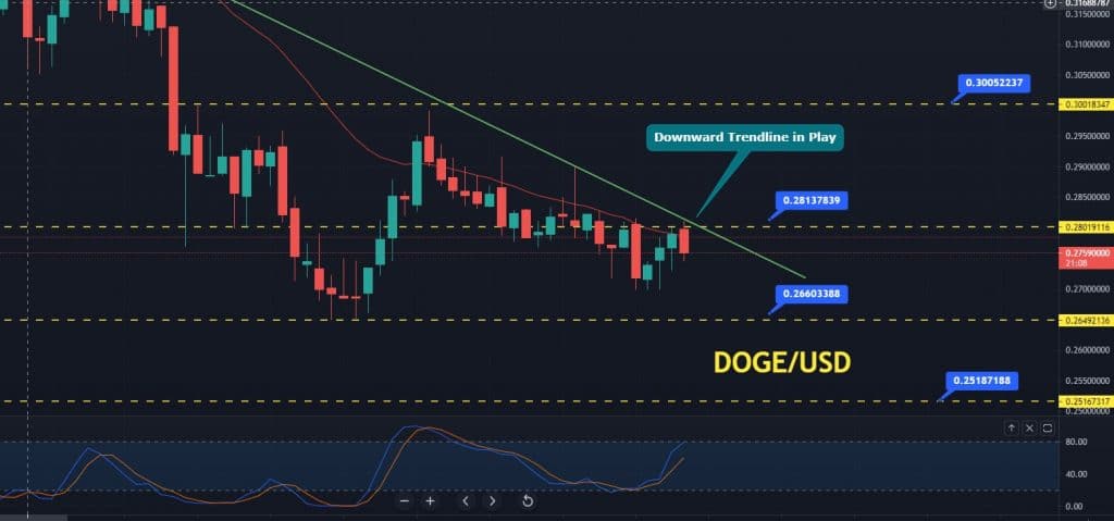 Dogecoin Price Forecast