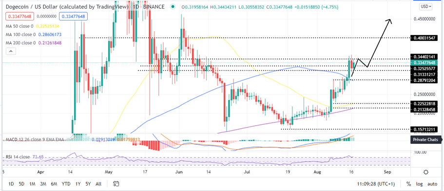 Dogecoin price daily char