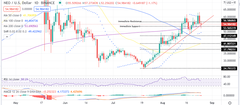 Neo Price Daily Chart