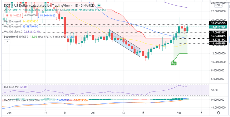 Polkadot Price Daily Chart