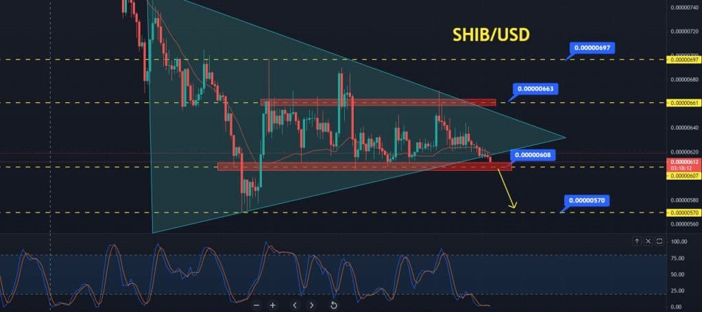 Shib Inu Price Forecast