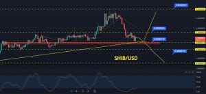 SHIBA Inu Price Prediction