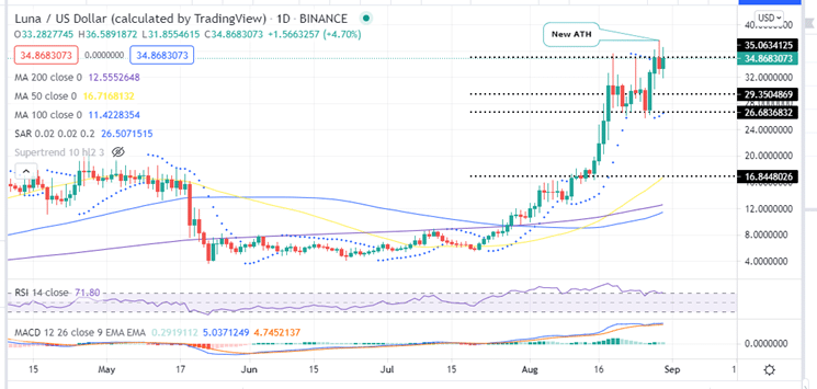 Terra Price Daily Chart