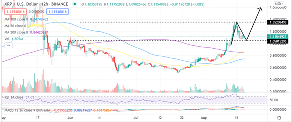 XRP Price 12-Hour Chart