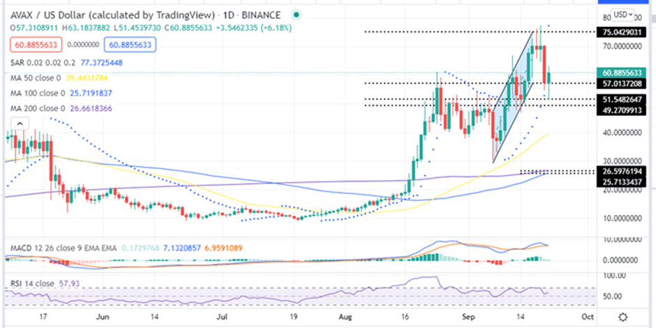 AVAX Price Daily Chart