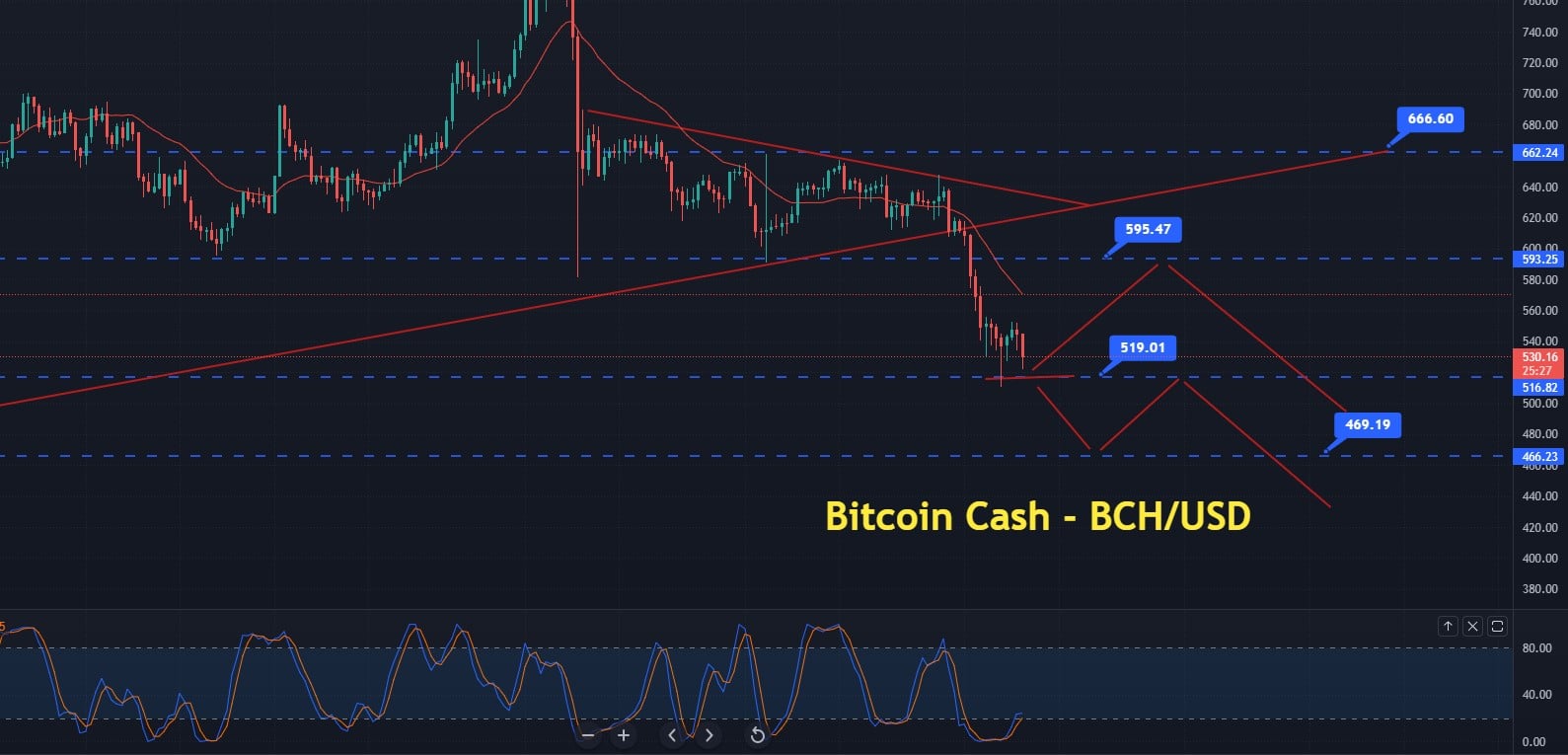 Bitcoin cash price prediction