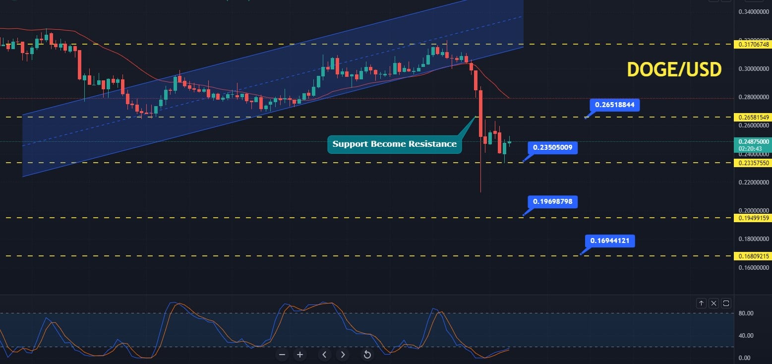 Where to Buy Dogecoin?