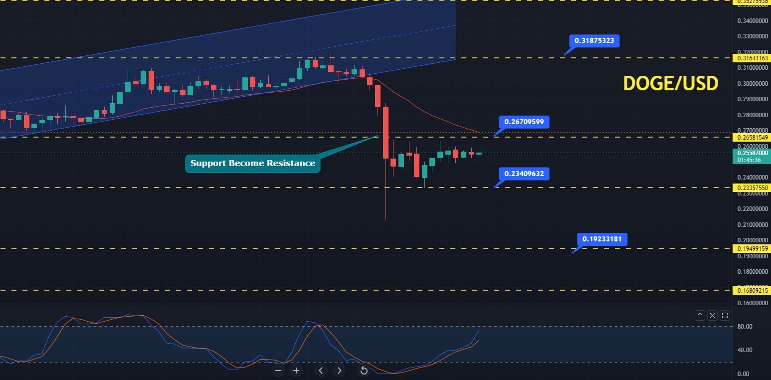 Where to Buy Dogecoin?