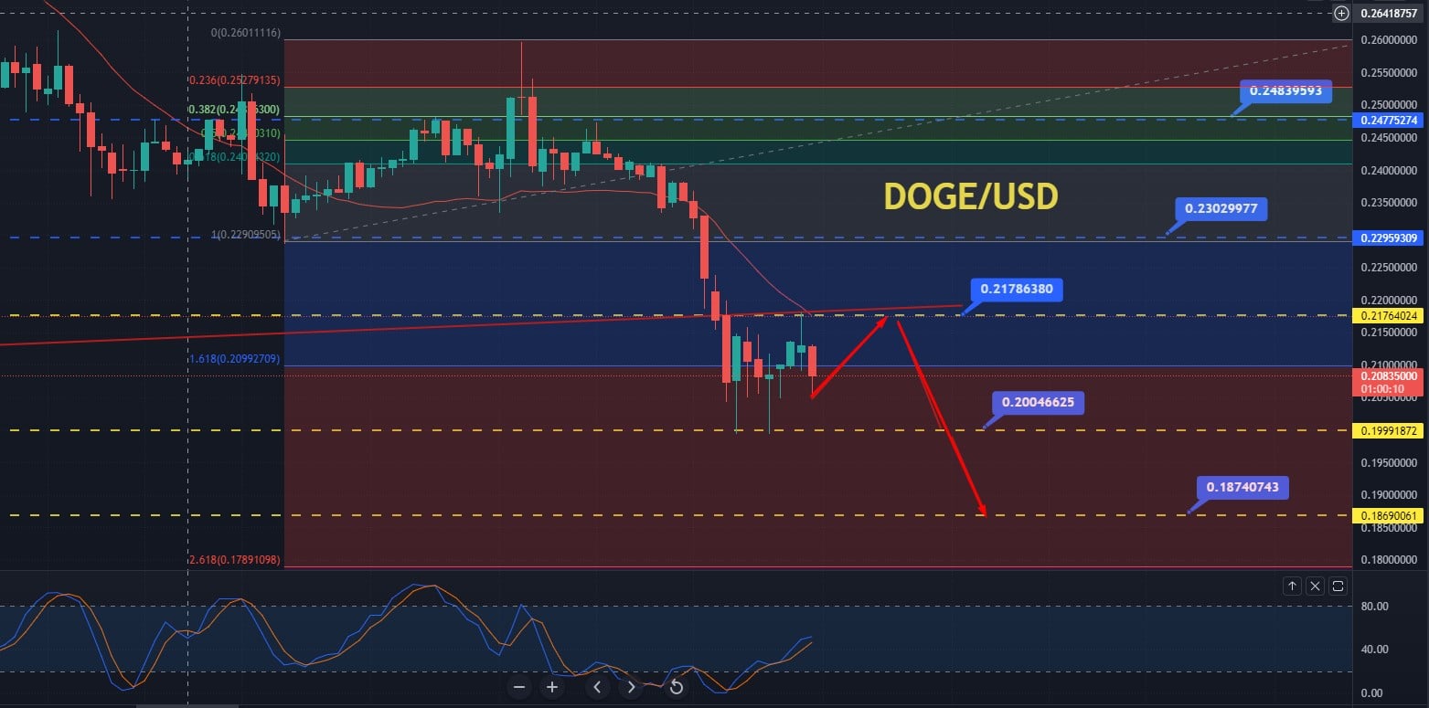 Dogecoin Price Prediction