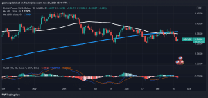 BoE preview