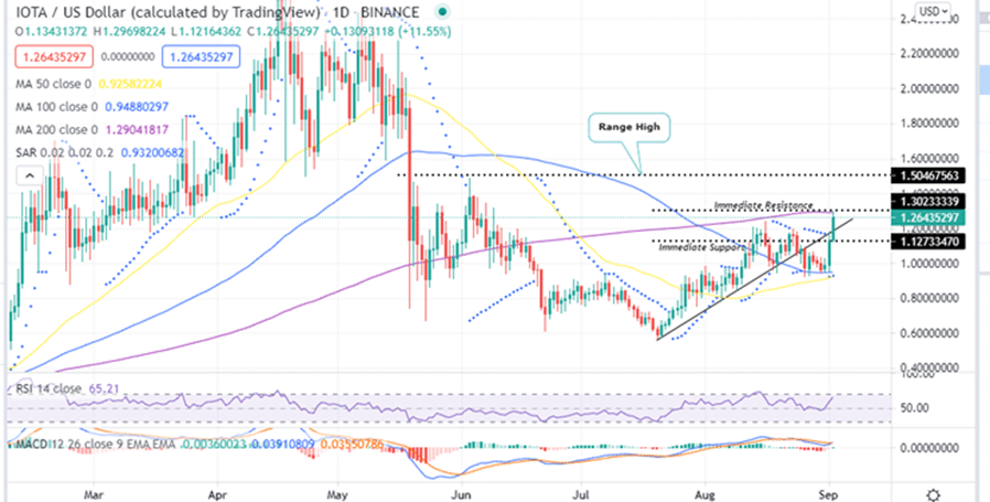 IOTA price Daily Chart