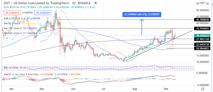 Polkadot Price Daily Chart