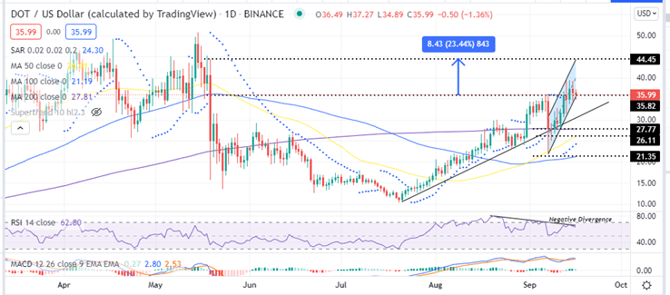 Polkadot Price Daily Chart