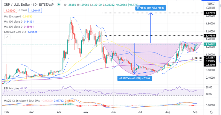 Ripple Price Daily Chart