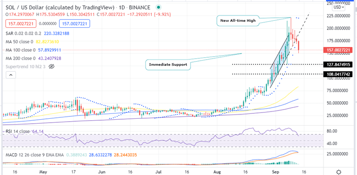 Solana Price Daily Chart
