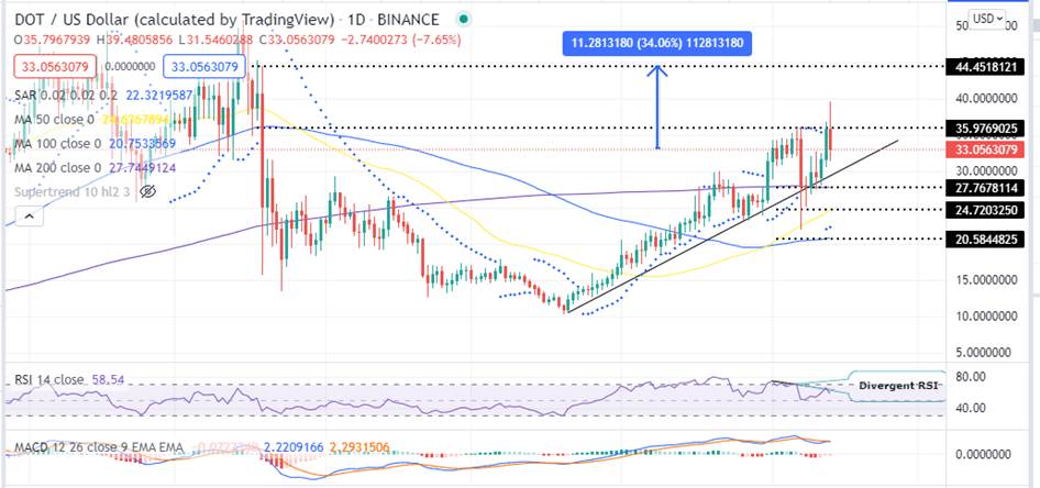 Polkadot price daily Chart