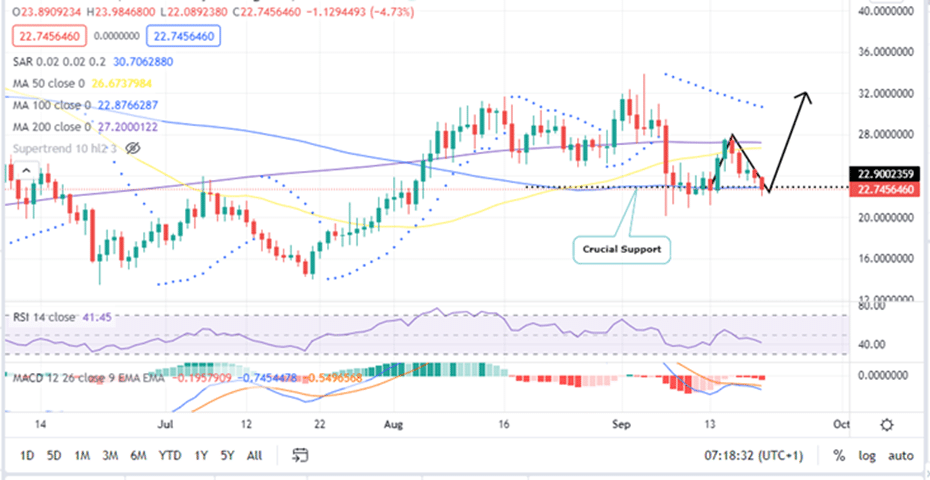 Uniswap Price Daily Chart
