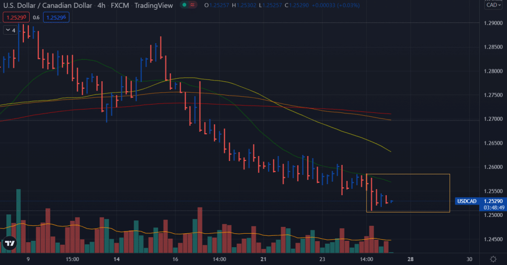 usd/cad price daily open interest